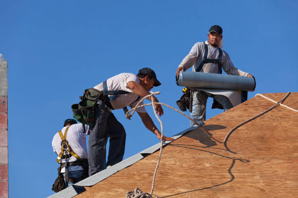 Roof Gutter Cleaning in Barberton, WA